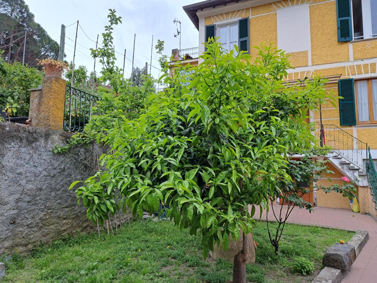 Affittacamere Antonella Monterosso al Mare Extérieur photo